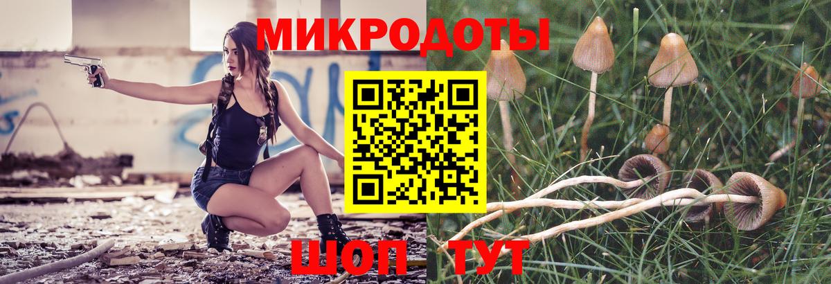 Галлюциногенные грибы MAGIC MUSHROOMS Екатеринбург