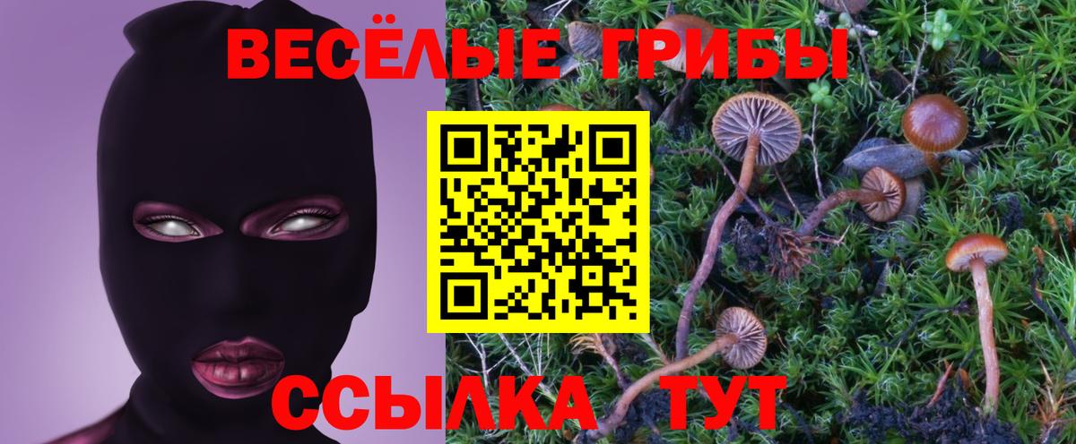 Екатеринбург  Галлюциногенные грибы Magic Shrooms  Псилоцибиновые грибы Cubensis  Вход с VPN 